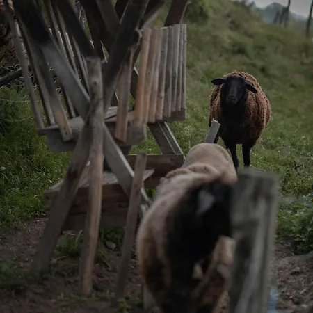 Almhaus Veitlmichl *