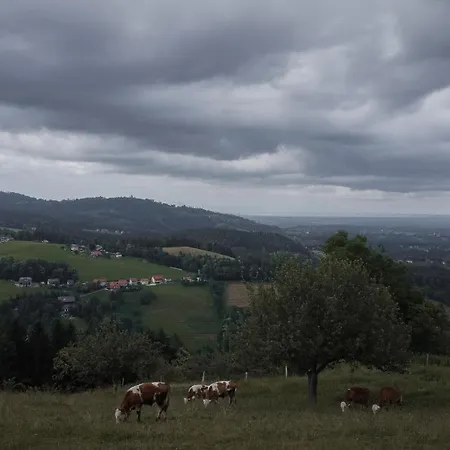 Apartament Almhaus Veitlmichl