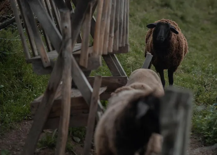 Almhaus Veitlmichl *