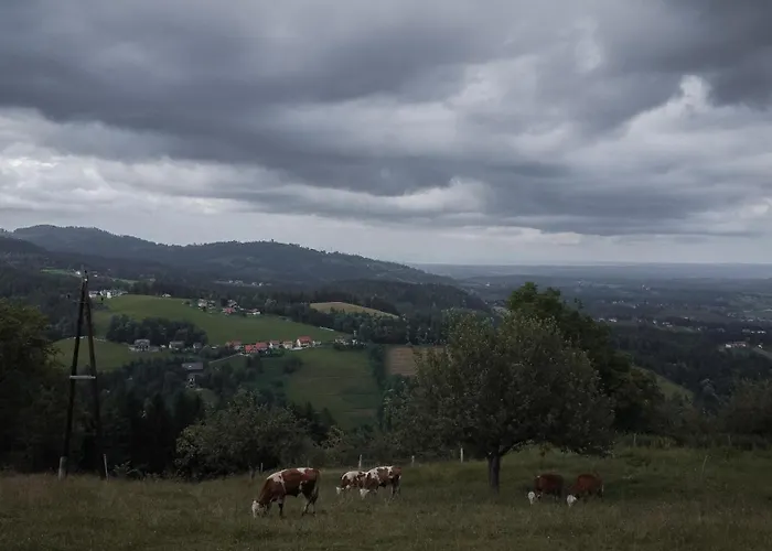 Appartement Almhaus Veitlmichl